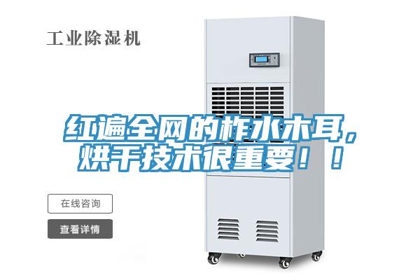 紅遍全網的柞水木耳，烘干技術很重要??！