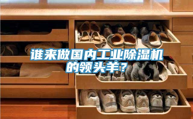 誰(shuí)來做國(guó)內(nèi)工業(yè)除濕機(jī)的領(lǐng)頭羊？