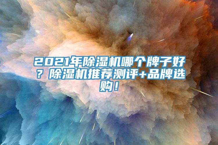 2021年除濕機哪個牌子好？除濕機推薦測評+品牌選購！