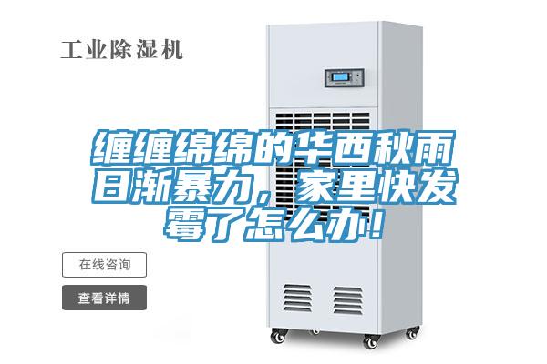 纏纏綿綿的華西秋雨日漸暴力，家里快發霉了怎么辦！