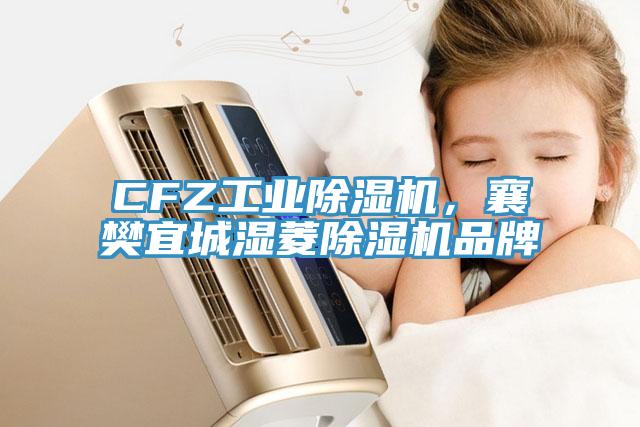 CFZ工業除濕機，襄樊宜城濕菱除濕機品牌