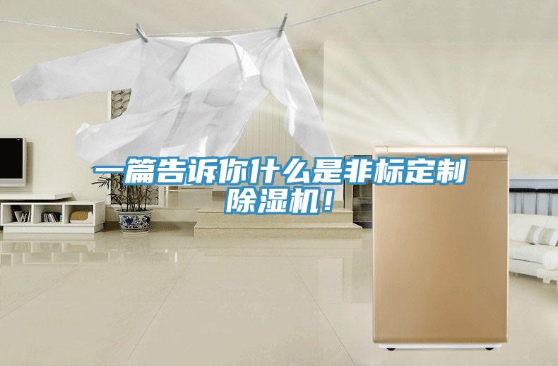 一篇告訴你什么是非標定制除濕機!