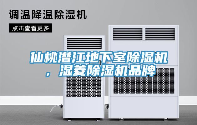 仙桃潛江地下室除濕機,濕菱除濕機品牌