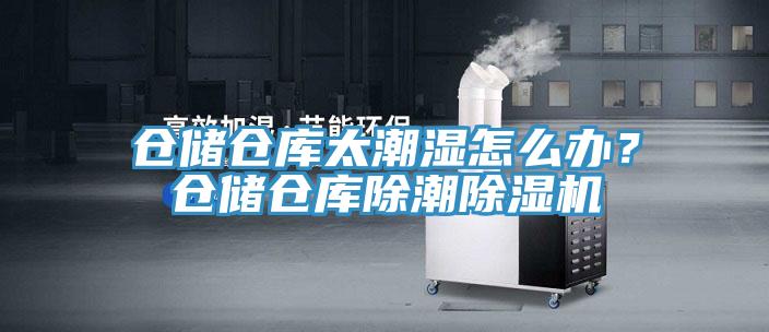 倉儲倉庫太潮濕怎么辦？倉儲倉庫除潮除濕機
