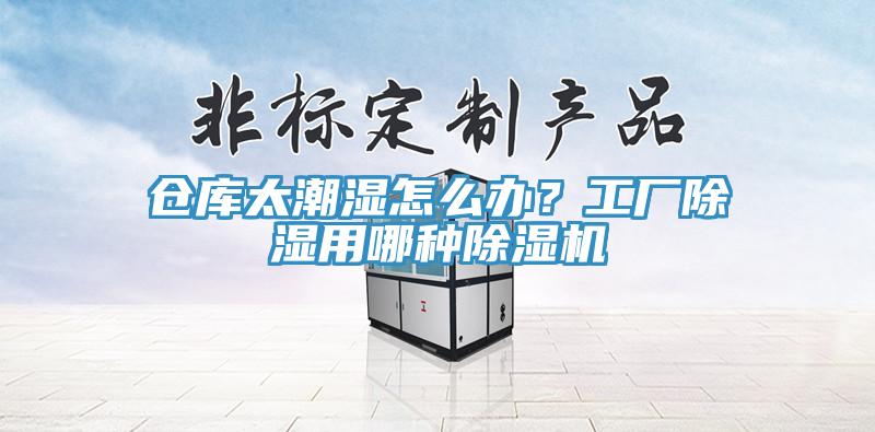 倉庫太潮濕怎么辦？工廠除濕用哪種除濕機