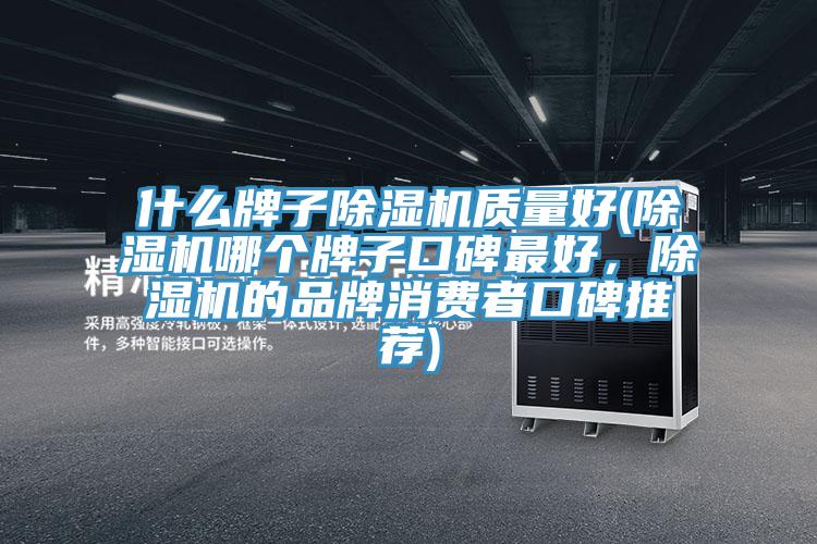 什么牌子除濕機質量好(除濕機哪個牌子口碑最好，除濕機的品牌消費者口碑推薦)