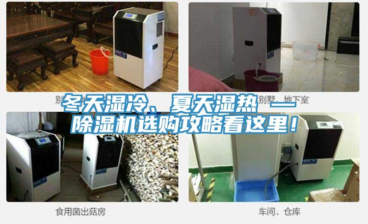 冬天濕冷、夏天濕熱 — 除濕機選購攻略看這里！