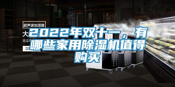 2022年雙十一，有哪些家用除濕機(jī)值得購(gòu)買