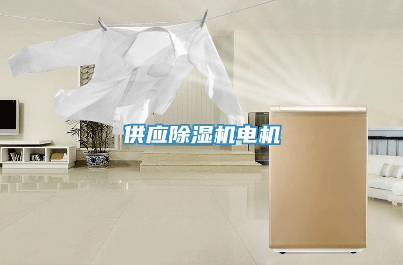 供應除濕機電機