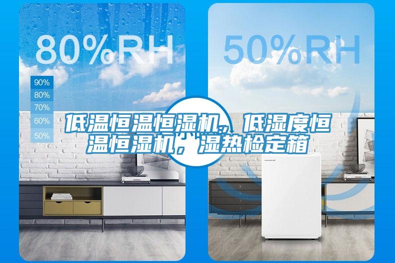 低溫恒溫恒濕機,低濕度恒溫恒濕機,濕熱檢定箱