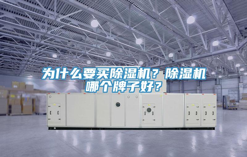 為什么要買除濕機？除濕機哪個牌子好？