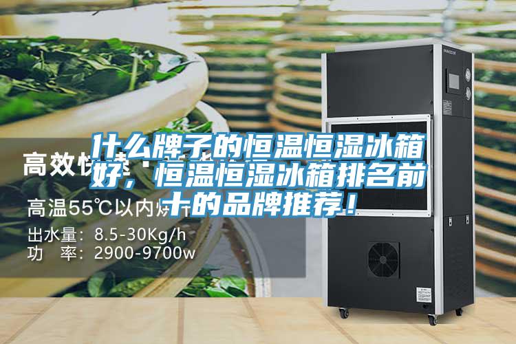 什么牌子的恒溫恒濕冰箱好，恒溫恒濕冰箱排名前十的品牌推薦！