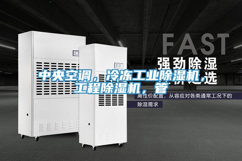 中央空調(diào),冷凍工業(yè)除濕機(jī),工程除濕機(jī),管
