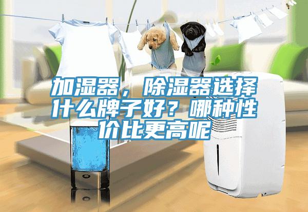 加濕器，除濕器選擇什么牌子好？哪種性價比更高呢