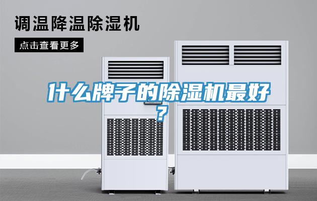 什么牌子的除濕機最好？