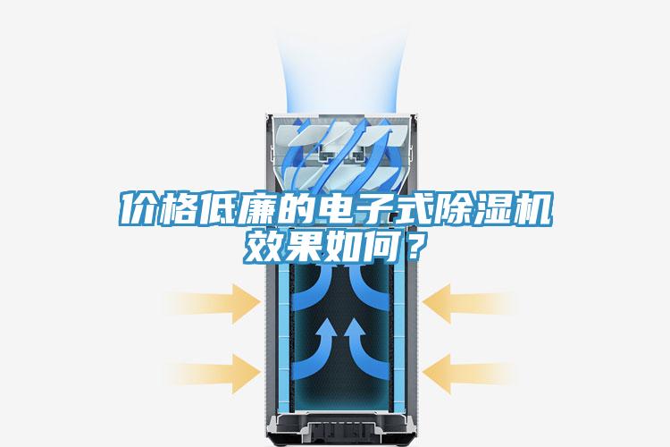 價格低廉的電子式除濕機效果如何?