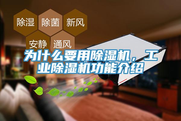 為什么要用除濕機，工業(yè)除濕機功能介紹