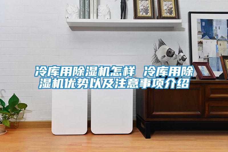 冷庫用除濕機怎樣 冷庫用除濕機優勢以及注意事項介紹