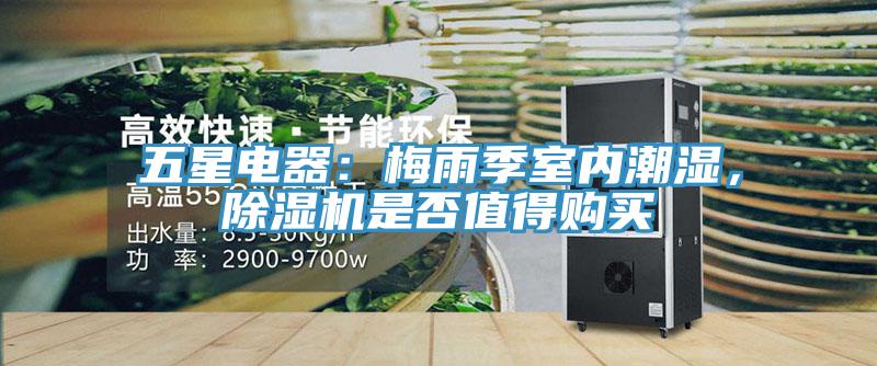 五星電器：梅雨季室內(nèi)潮濕，除濕機(jī)是否值得購(gòu)買