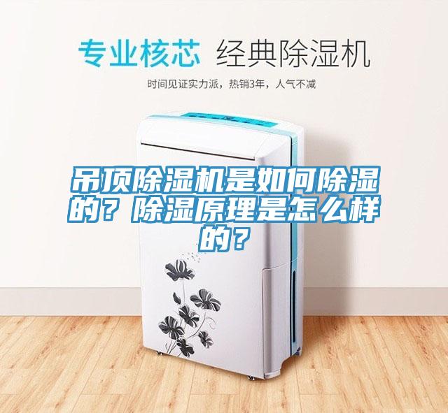 吊頂除濕機(jī)是如何除濕的？除濕原理是怎么樣的？