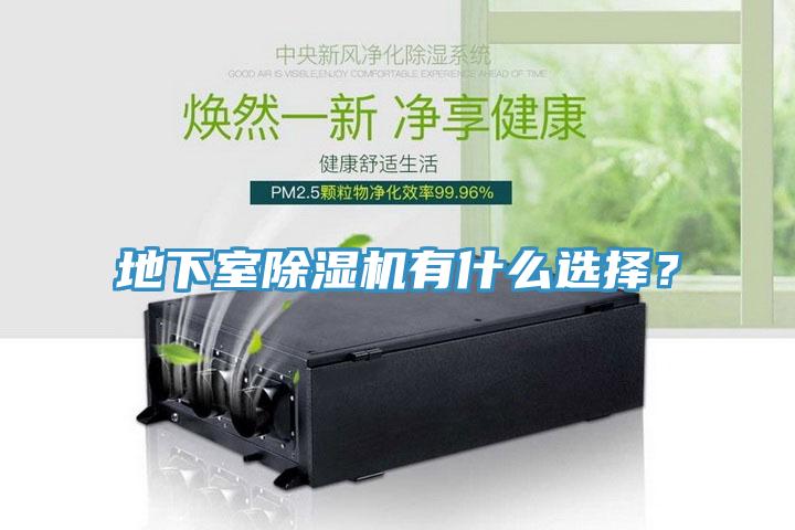地下室除濕機(jī)有什么選擇?