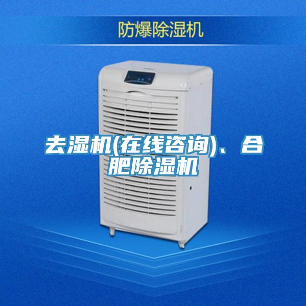 去濕機(在線咨詢)、合肥除濕機