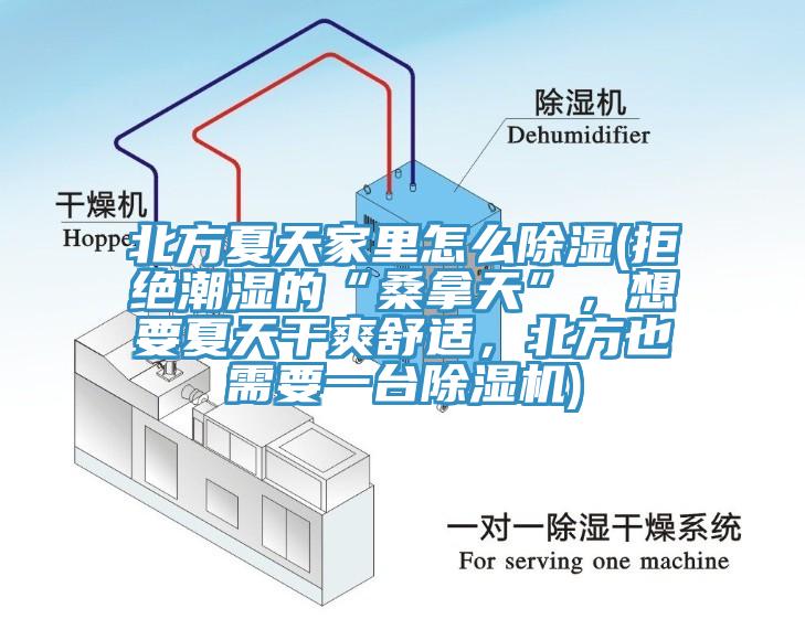 北方夏天家里怎么除濕(拒絕潮濕的“桑拿天”，想要夏天干爽舒適，北方也需要一臺除濕機)