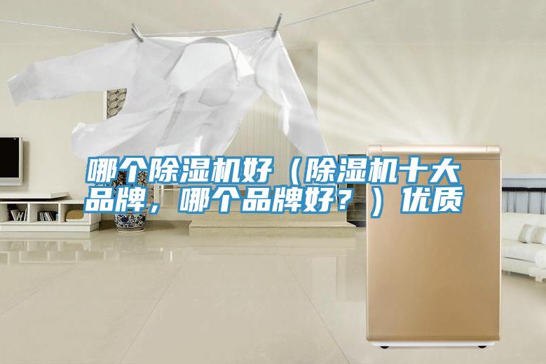 哪個(gè)除濕機(jī)好（除濕機(jī)十大品牌，哪個(gè)品牌好？）優(yōu)質(zhì)