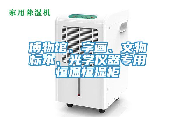博物館、字畫、文物標本、光學儀器專用恒溫恒濕柜
