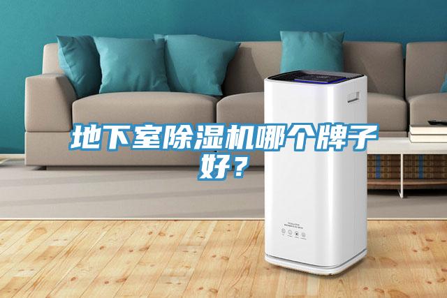 地下室除濕機(jī)哪個牌子好?