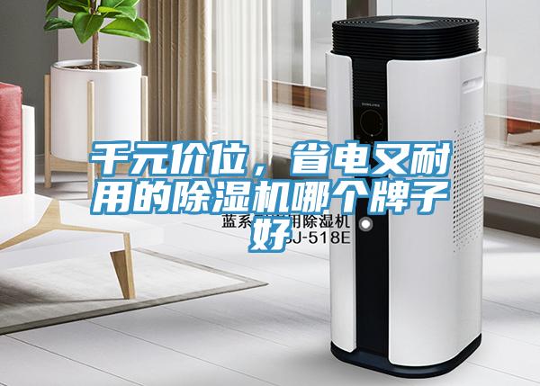 千元價位，省電又耐用的除濕機哪個牌子好