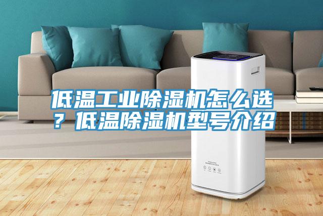 低溫工業(yè)除濕機(jī)怎么選？低溫除濕機(jī)型號(hào)介紹