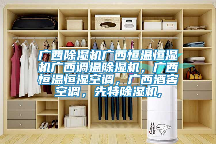 廣西除濕機廣西恒溫恒濕機廣西調(diào)溫除濕機，廣西恒溫恒濕空調(diào)，廣西酒窖空調(diào)，先特除濕機,