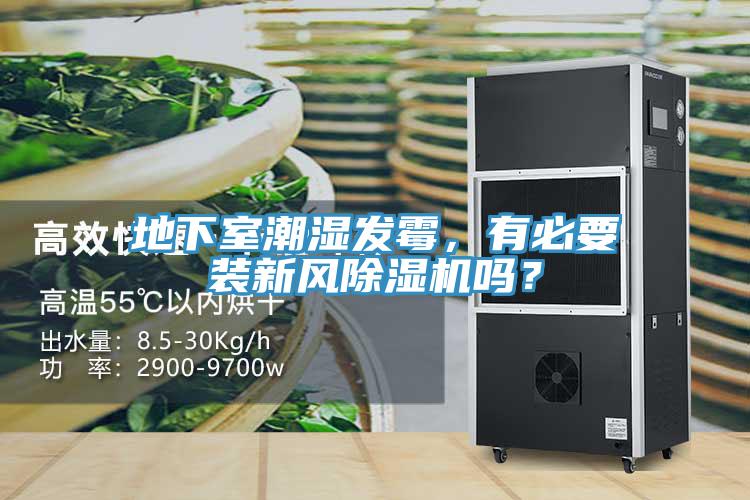 地下室潮濕發霉，有必要裝新風除濕機嗎？