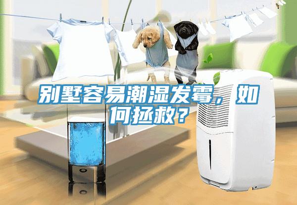 別墅容易潮濕發霉，如何拯救？