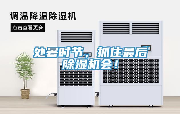 處暑時(shí)節(jié)，抓住最后除濕機(jī)會！