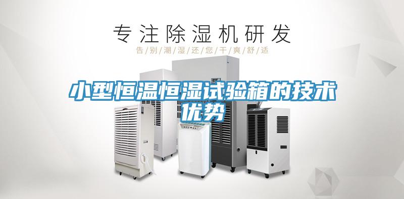 小型恒溫恒濕試驗箱的技術優勢