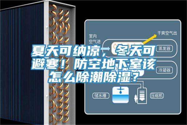 夏天可納涼，冬天可避寒！防空地下室該怎么除潮除濕？