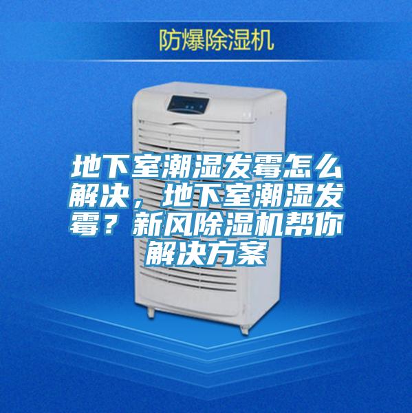 地下室潮濕發霉怎么解決，地下室潮濕發霉？新風除濕機幫你解決方案