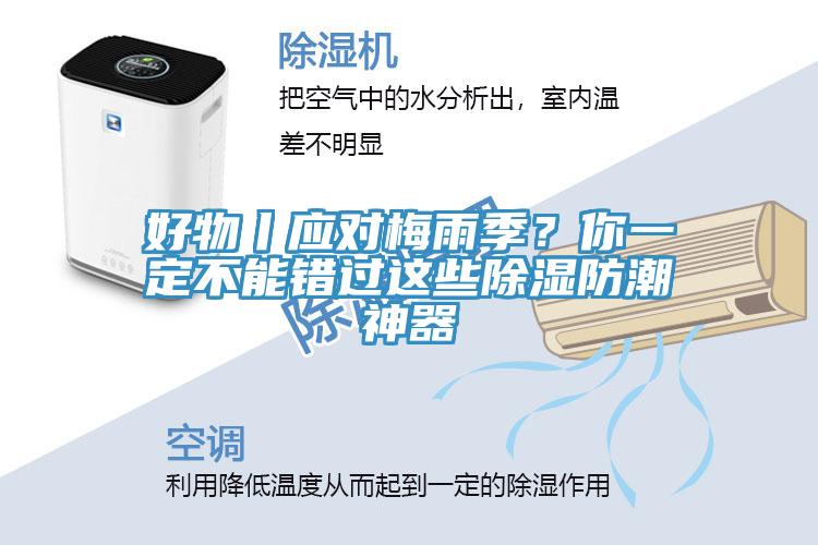 好物丨應對梅雨季?你一定不能錯過這些除濕防潮神器