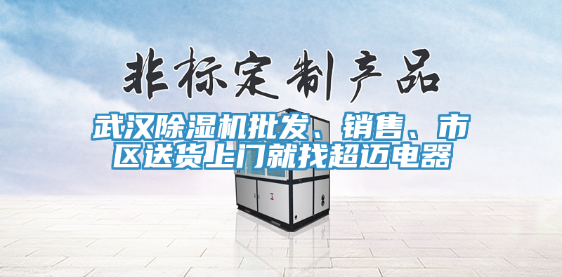 武漢除濕機批發(fā)、銷售、市區(qū)送貨上門就找超邁電器