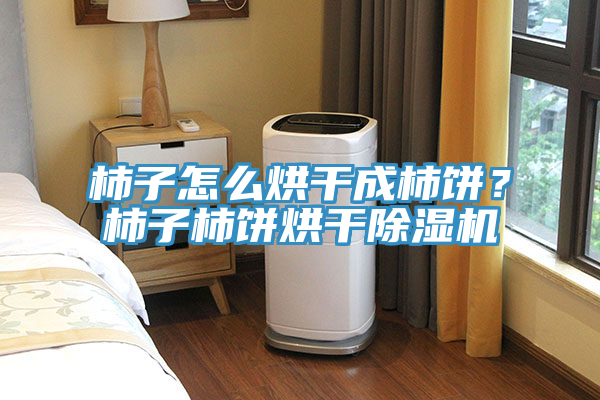 柿子怎么烘干成柿餅?柿子柿餅烘干除濕機