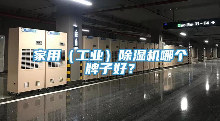 家用(工業)除濕機哪個牌子好?