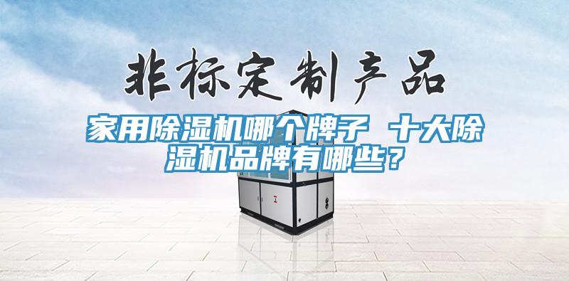 家用除濕機哪個牌子 十大除濕機品牌有哪些？