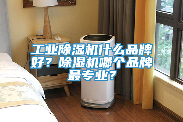 工業(yè)除濕機(jī)什么品牌好？除濕機(jī)哪個(gè)品牌最專業(yè)？