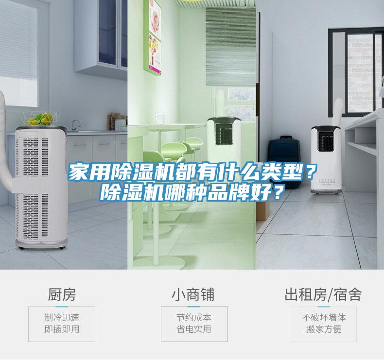 家用除濕機(jī)都有什么類型？除濕機(jī)哪種品牌好？