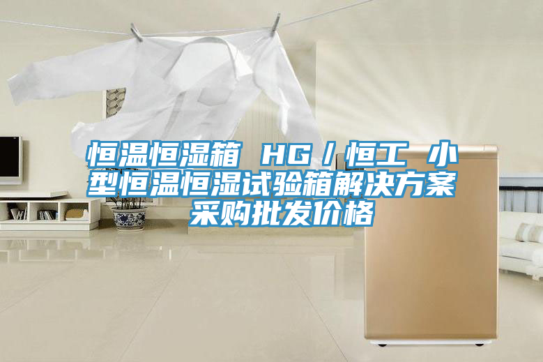恒溫恒濕箱 HG/恒工 小型恒溫恒濕試驗箱解決方案 采購批發價格