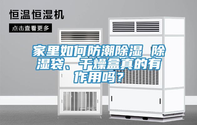 家里如何防潮除濕 除濕袋、干燥盒真的有作用嗎？