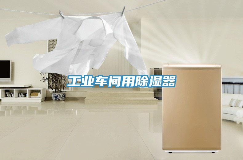 工業車間用除濕器