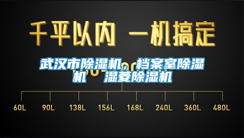武漢市除濕機，檔案室除濕機  濕菱除濕機